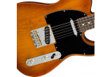 GUITARE ELECTRIQUE FENDER AMERICAN PERFORMER TELECASTER RW