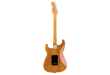 GUITARE ELECTRIQUE FENDER AMERICAN PROFESSIONAL II STRATOCASTER