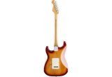 GUITARE ELECTRIQUE FENDER LTD PLAYER STRATOCASTER HSS PLUS TOP