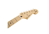 GUITARE ELECTRIQUE FENDER BUDDY GUY STANDARD STRATOCASTER