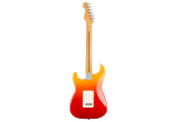 GUITARE ELECTRIQUE FENDER PLAYER PLUS STRATOCASTER