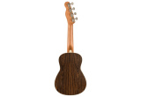 UKULELE FENDER ZUMA CONCERT EXOTIC