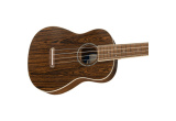 UKULELE FENDER ZUMA CONCERT EXOTIC