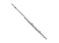 FLUTE HAYNES Q1RC