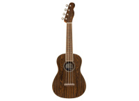 UKULELE FENDER ZUMA CONCERT EXOTIC