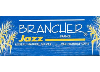 BOITE ANCHES CLARINETTE SIB BRANCHER JAZZ  N°2