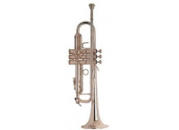 TROMPETTE SIB BACH STRADIVARIUS BRANCHE INVERSEE LR180L