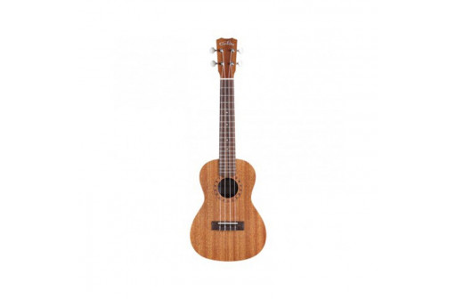 PACK UKULELE CORDOBA PLAYER CONCERT