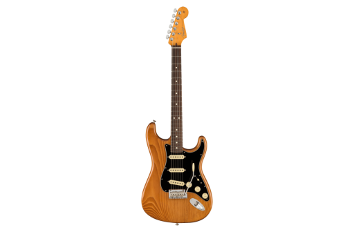 GUITARE ELECTRIQUE FENDER AMERICAN PROFESSIONAL II STRATOCASTER