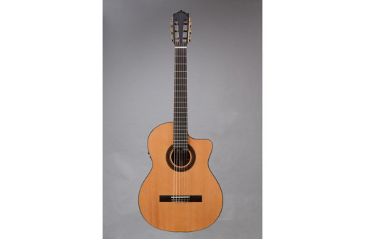 GUITARE ELECTROACOUSTIQUE 4/4 MARTINEZ MCG48C-CET RN PAN COUPE