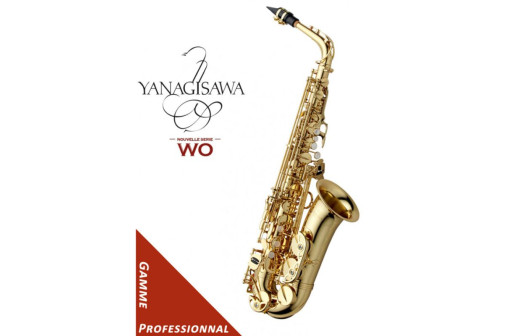 SAXOPHONE ALTO MIB YANAGISAWA PROFESSIONAL VERNI A-WO1