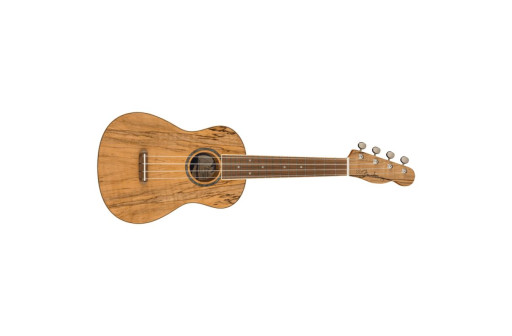 UKULELE FENDER ZUMA CONCERT UKE